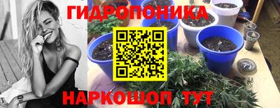 крисы Бугуруслан