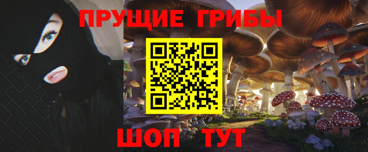 Шали  Псилоцибиновые грибы Psilocybe  Псилоцибиновые грибы Psilocybine cubensis  Вход с VPN 